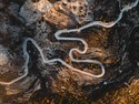 Customers down a winding road